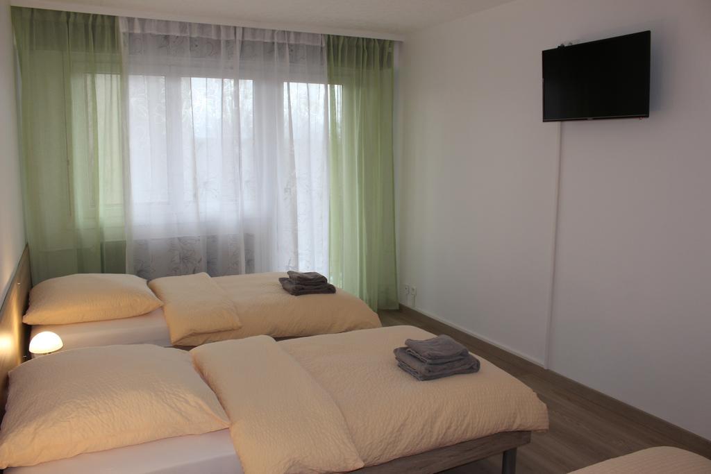 Studios Near Basel Airport Saint-Louis  Phòng bức ảnh