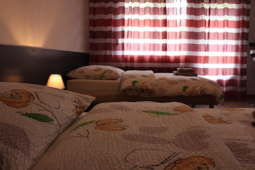 Studios Near Basel Airport Saint-Louis  Ngoại thất bức ảnh