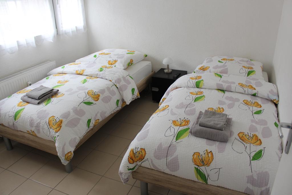 Studios Near Basel Airport Saint-Louis  Ngoại thất bức ảnh