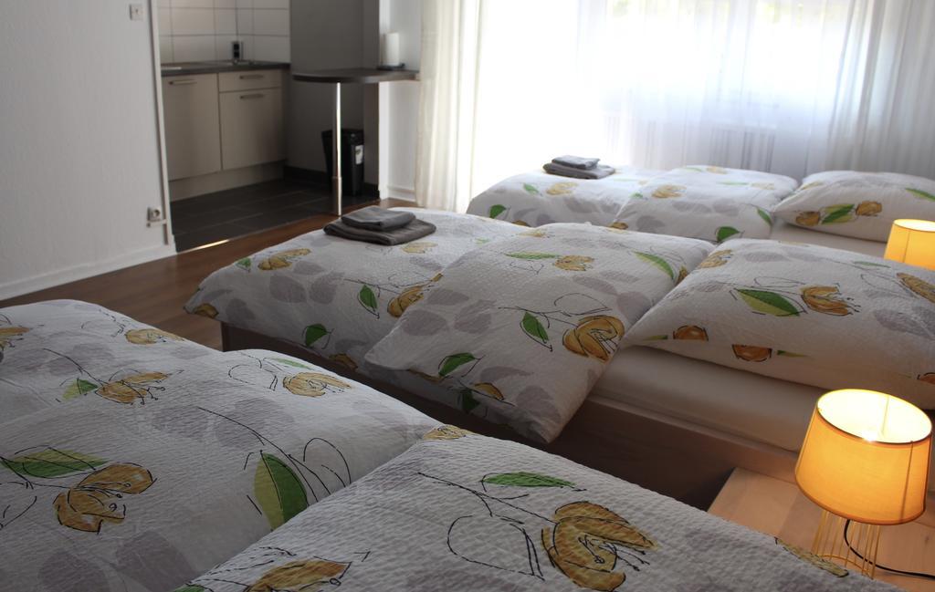 Studios Near Basel Airport Saint-Louis  Ngoại thất bức ảnh