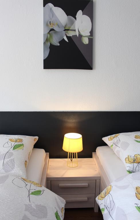Studios Near Basel Airport Saint-Louis  Ngoại thất bức ảnh